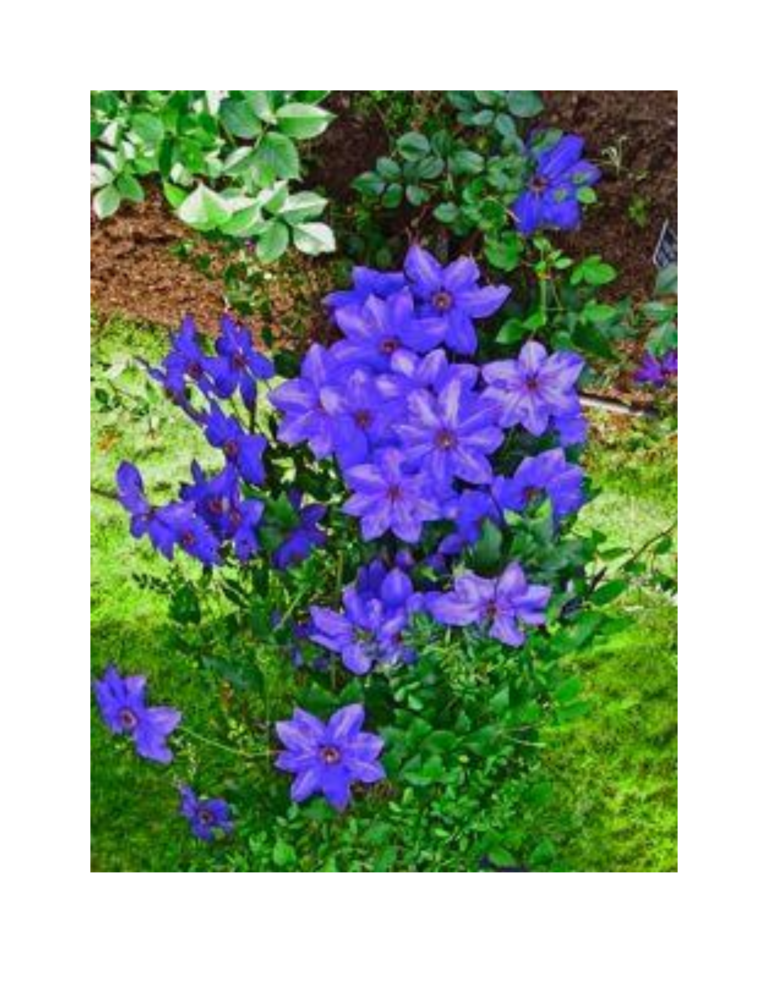 wthcstbw ekph 11.webp